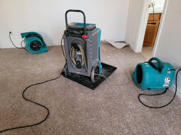 Best Water damage contractors near me  in River Road, WA