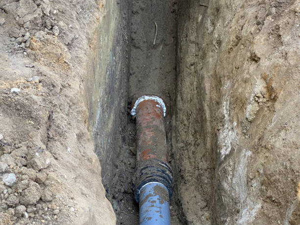 Best Professional water damage repair  in River Road, WA