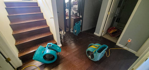 Best 24/7 water damage repair  in River Road, WA