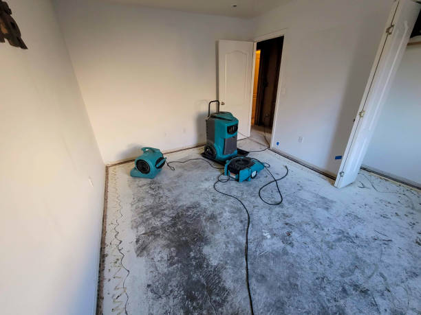Best Carpet water damage restoration  in River Road, WA