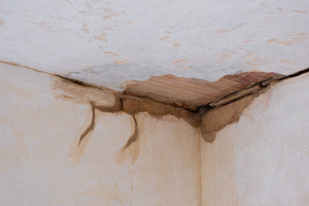  River Road, WA Water damage restoration Pros