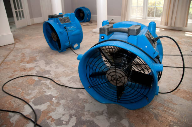 Best Commercial water damage restoration  in River Road, WA