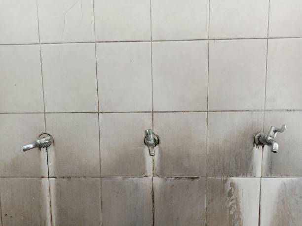 Best Ceiling water damage repair  in River Road, WA