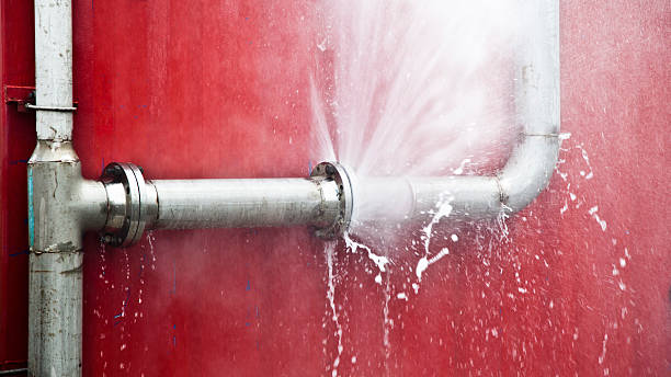 Best Local water damage restoration  in River Road, WA