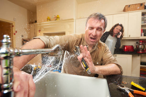 Best Mold removal after water damage  in River Road, WA